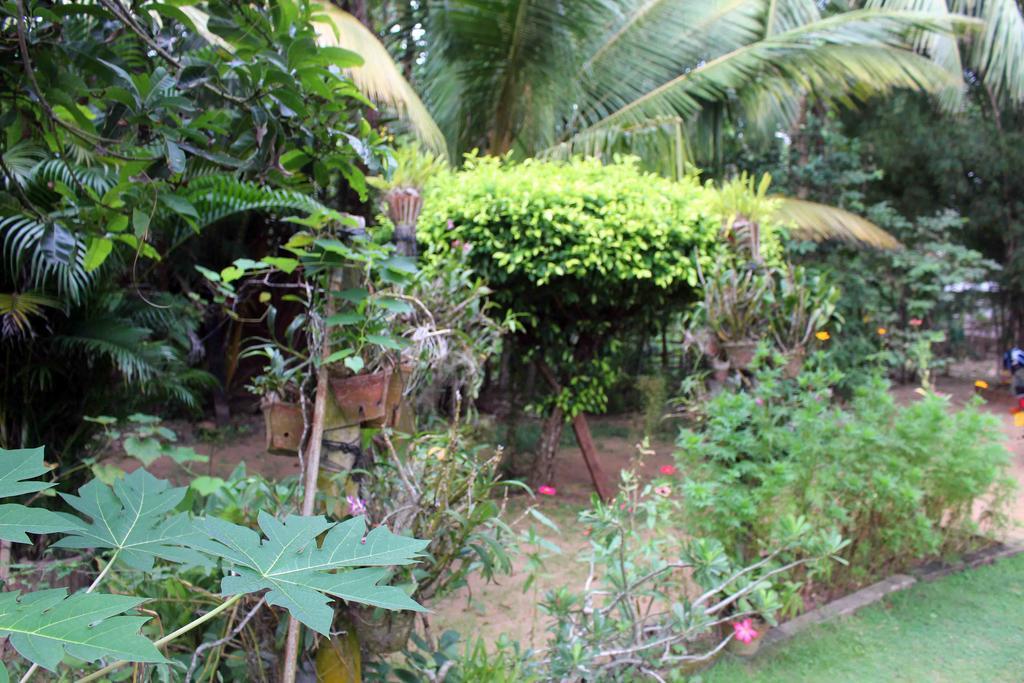 Anura Home Stay Kalutara Exterior foto